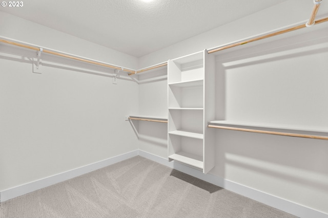 walk in closet featuring carpet