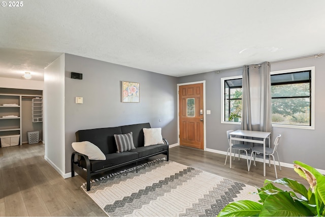 living room with hardwood / wood-style floors