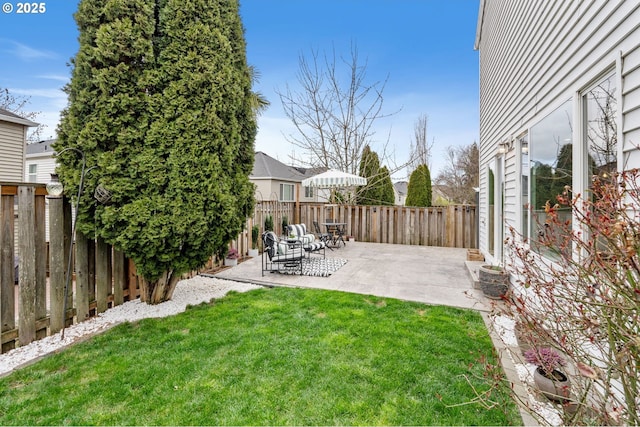 view of yard featuring a patio area and a fenced backyard