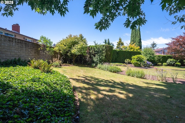 13530 NE Milton St, Portland, OR 97230 - view of yard