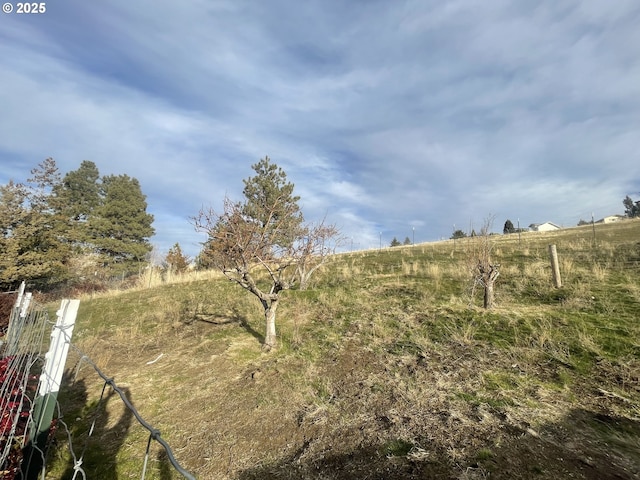 view of local wilderness featuring a rural view