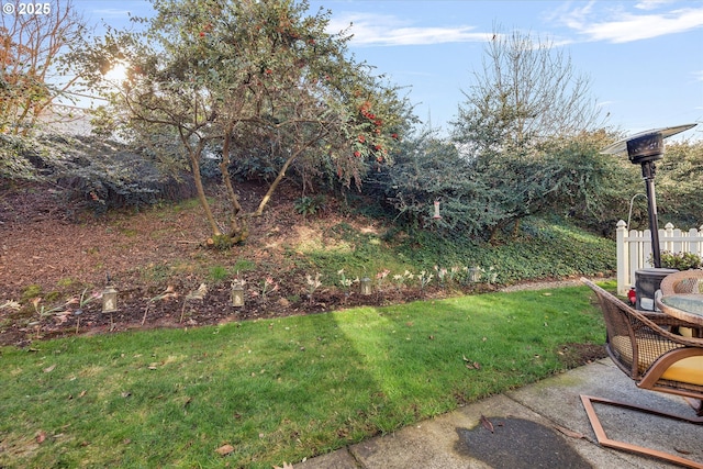view of yard