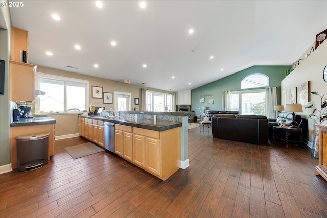 kitchen with stainless steel dishwasher, open floor plan, light brown cabinets, and dark wood-style flooring