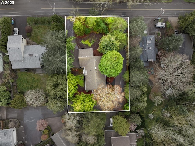4819 SW Hamilton St, Portland, OR 97221 - aerial view