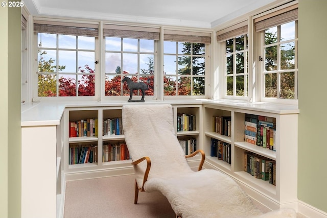 view of living area