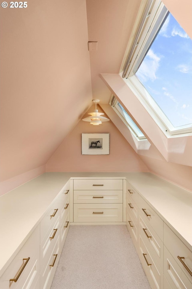 additional living space featuring light carpet and vaulted ceiling with skylight