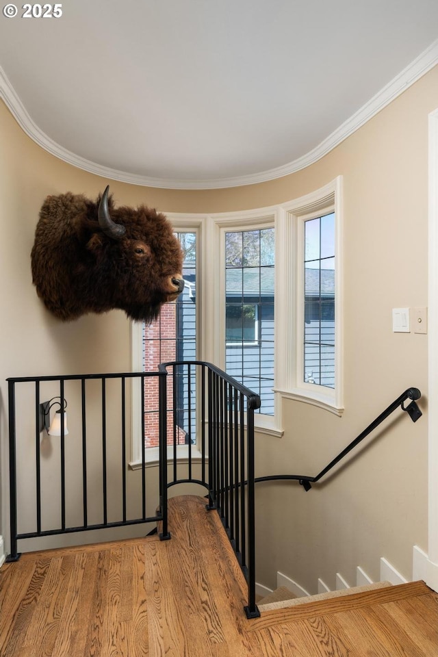 stairs with ornamental molding, wood finished floors, and baseboards