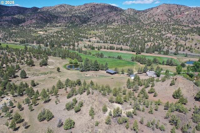 33817 Gage Rd, Mitchell, OR 97750 - mountain view featuring a large body of water