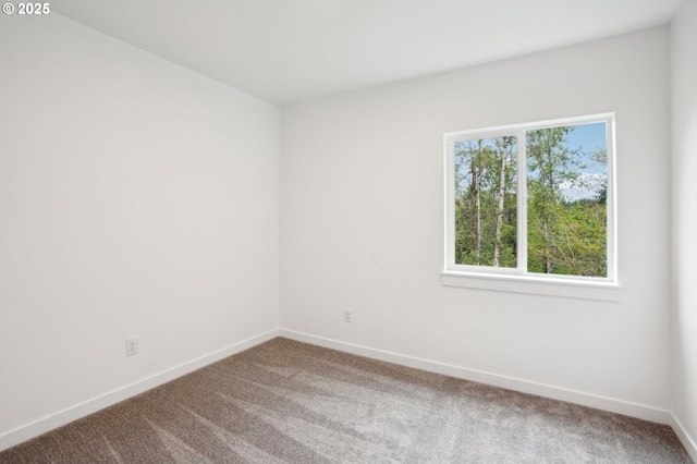 16000 NE Grantham Rd, Amboy, WA 98601 - spare room with carpet and baseboards