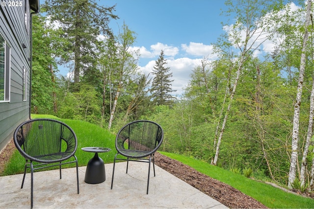 16000 NE Grantham Rd, Amboy, WA 98601 - view of patio