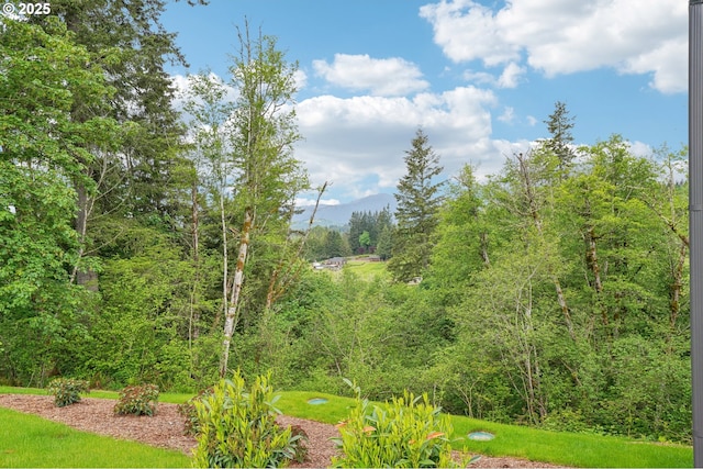 16000 NE Grantham Rd, Amboy, WA 98601 - view of yard with a mountain view