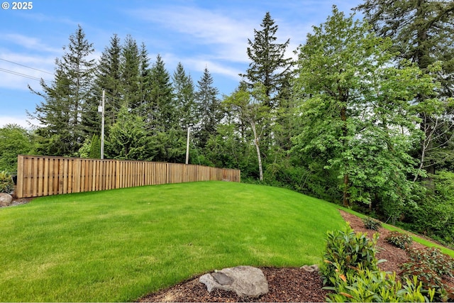 16000 NE Grantham Rd, Amboy, WA 98601 - view of yard