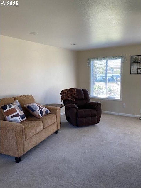 3202 NE Riverside Ave, Pendleton, OR 97801 - living room featuring carpet and baseboards