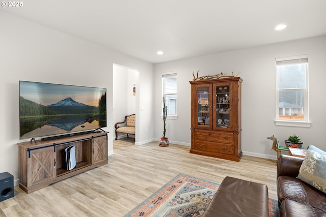 living room featuring light wood-type flooring