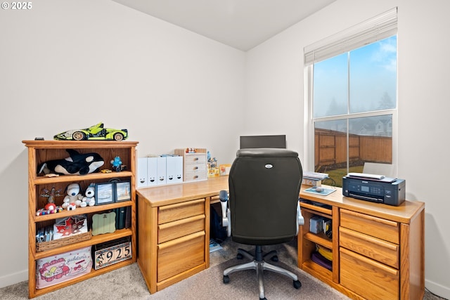 office area featuring light carpet