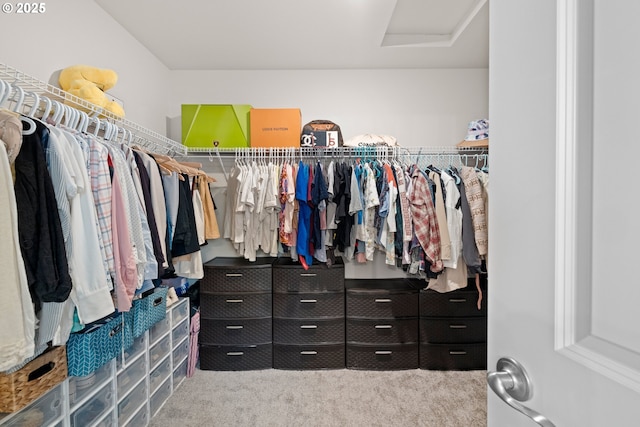 spacious closet with carpet floors