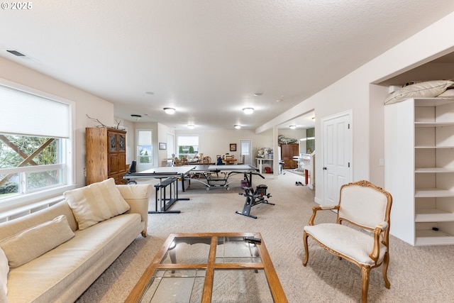 carpeted living room with a wealth of natural light