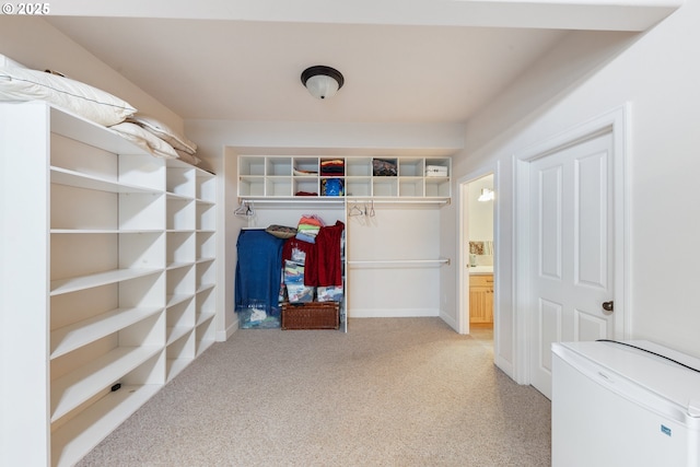 walk in closet featuring light carpet