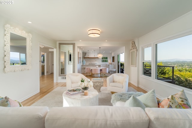 living room with light hardwood / wood-style floors, crown molding, and a mountain view