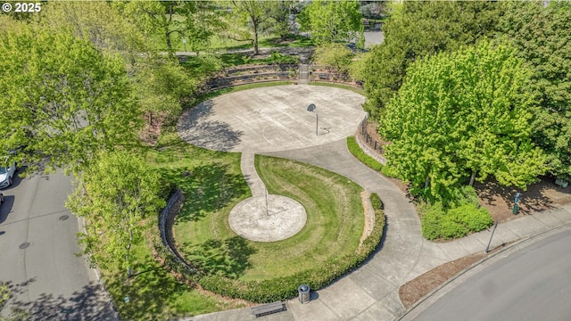 bird's eye view