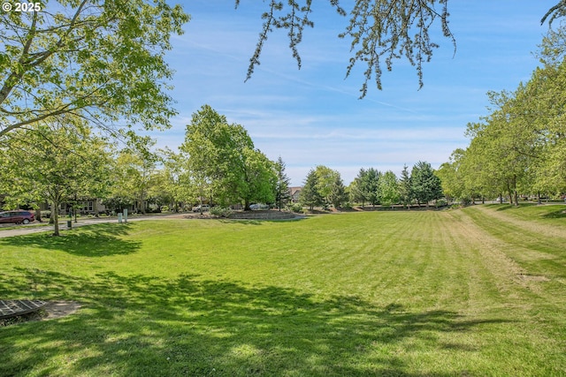 view of community with a lawn