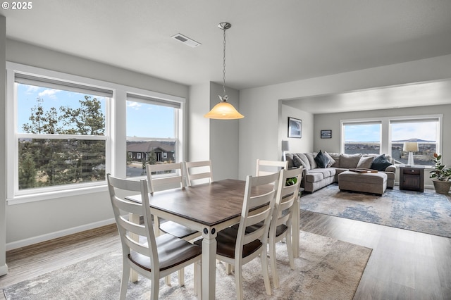 dining room with hardwood / wood-style floors