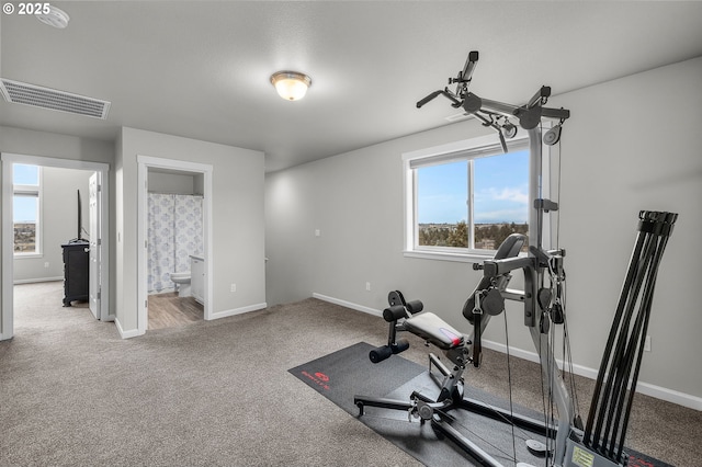 workout area featuring carpet flooring