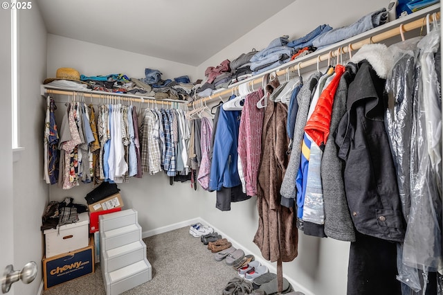 walk in closet with carpet