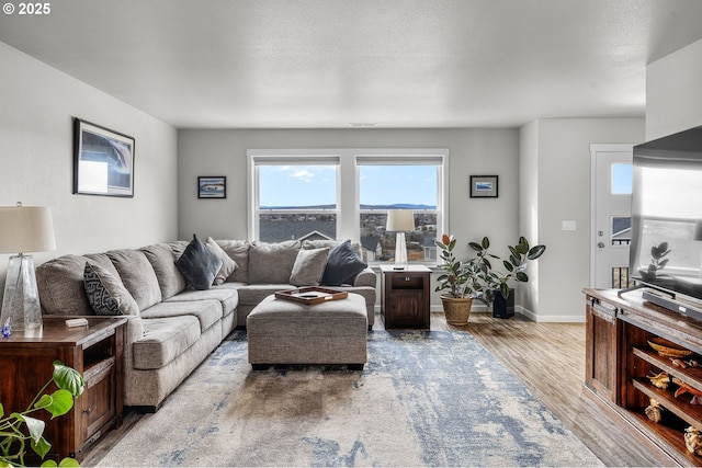 living room featuring light wood-type flooring