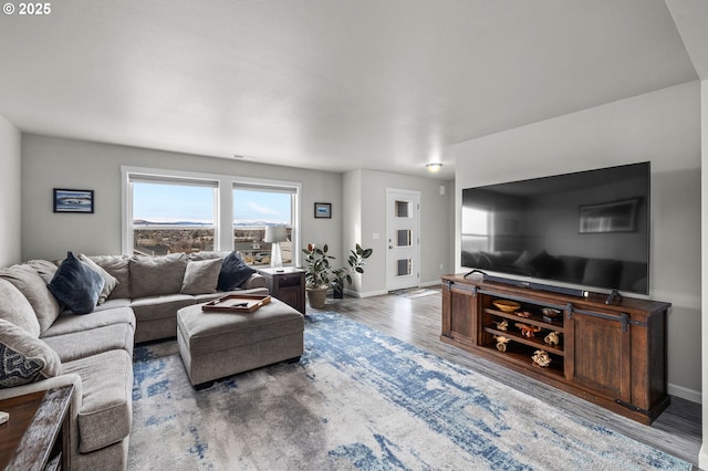 living room with wood-type flooring