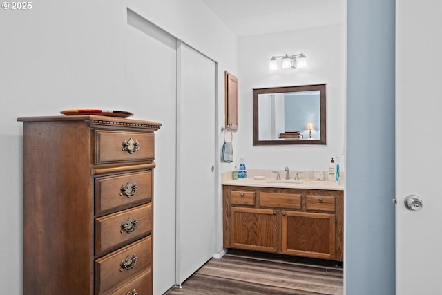 bathroom featuring wood finished floors and vanity