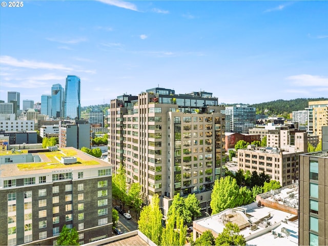333 NW 9th Ave Unit 1323, Portland, OR 97209 - view of city
