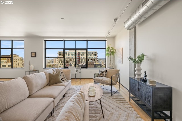 living room with track lighting and light wood-type flooring