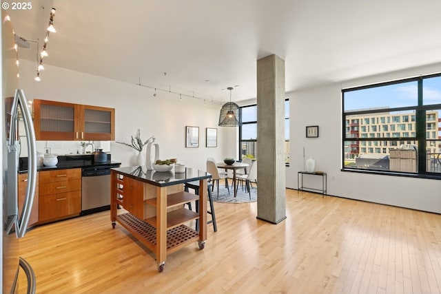 kitchen featuring stainless steel appliances, plenty of natural light, pendant lighting, and light hardwood / wood-style flooring