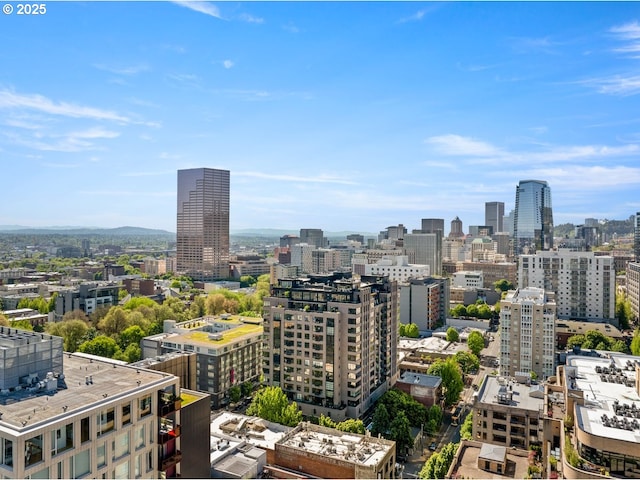 333 NW 9th Ave Unit 1323, Portland, OR 97209 - city view