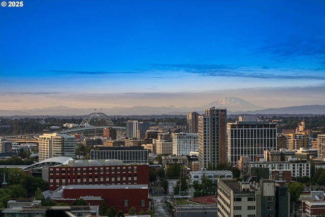 1551 SW Upper Hall St, Portland, OR 97201 - view of city with a mountain backdrop