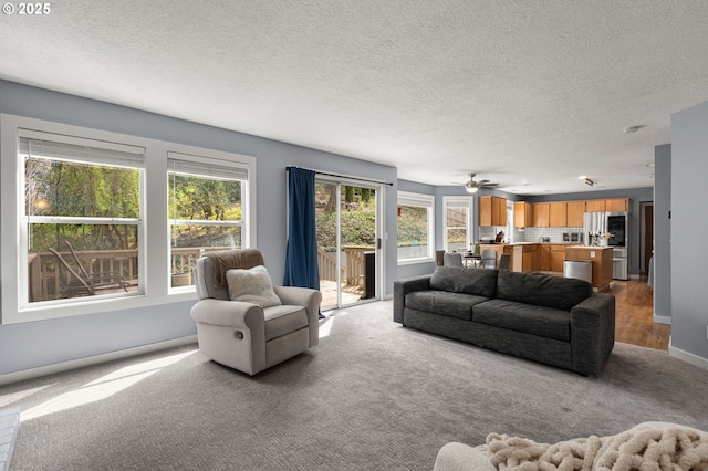 7820 SE 114th Ave, Portland, OR 97266 - living room featuring light colored carpet, baseboards, and a textured ceiling