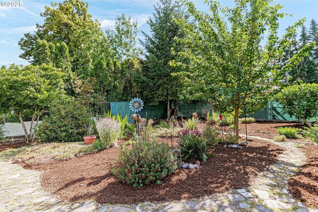 1052 Shamrock Dr SE, Salem, OR 97302 - view of yard