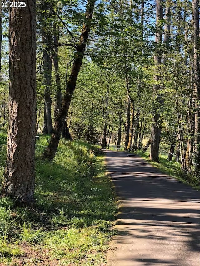 3484634844 Matthews Rd, Eugene, OR 97405 - view of road with a forest view