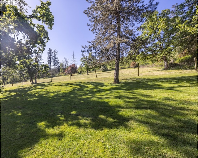 3484634844 Matthews Rd, Eugene, OR 97405 - view of grassy yard