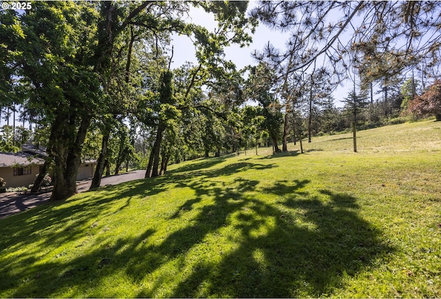 3484634844 Matthews Rd, Eugene, OR 97405 - view of green lawn