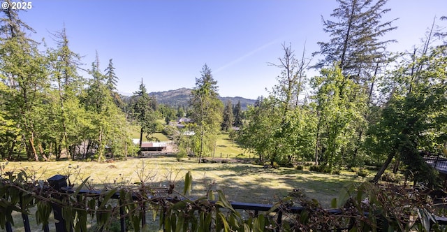 3484634844 Matthews Rd, Eugene, OR 97405 - view of mountain backdrop