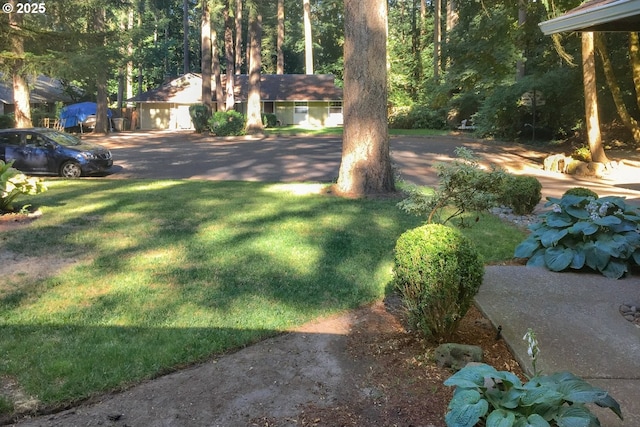 18581 Timbergrove Ct, Lake Oswego, OR 97035 - view of yard