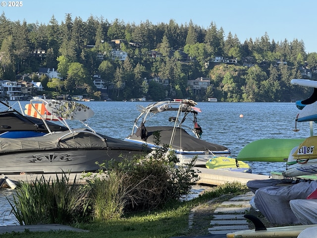 18581 Timbergrove Ct, Lake Oswego, OR 97035 - water view with a boat dock