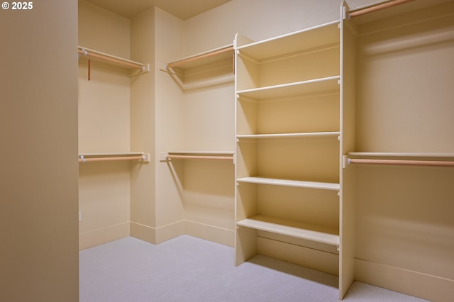 spacious closet with carpet