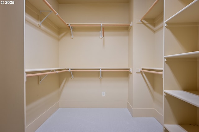 walk in closet featuring carpet
