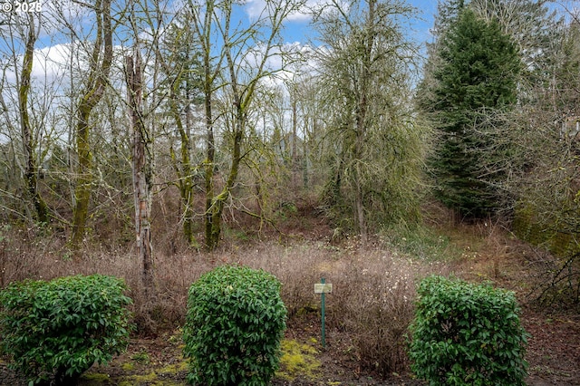 view of nature