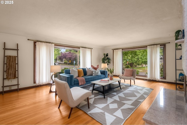 1134 NE Cesar E Chavez Blvd, Portland, OR 97232 - living room with plenty of natural light and light wood-type flooring