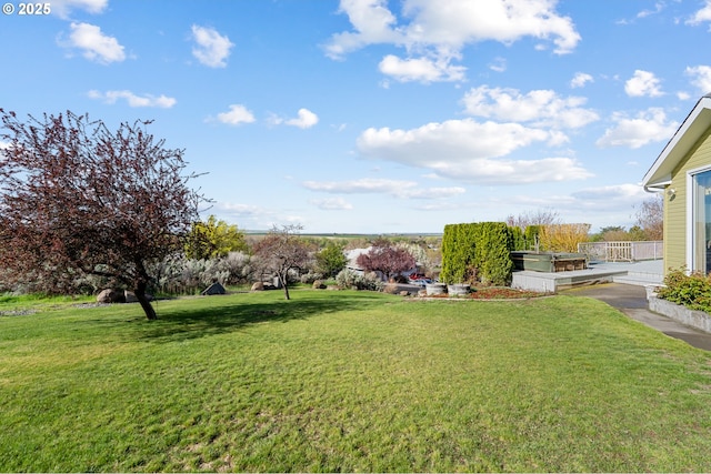 view of yard