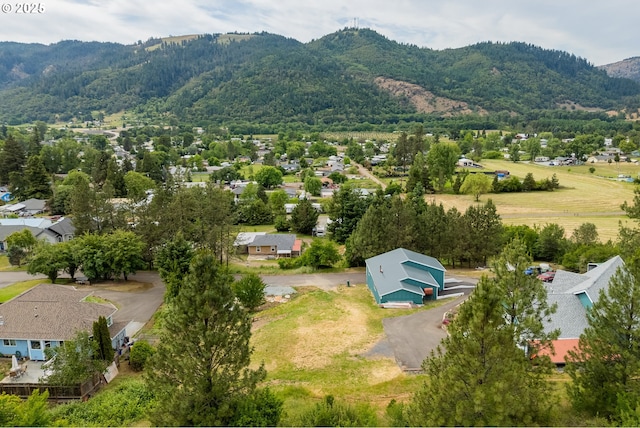 1140 Arburnia St, Myrtle Creek, OR 97457